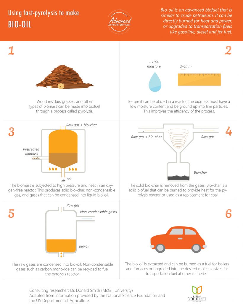 Infographics - BioFuelNet