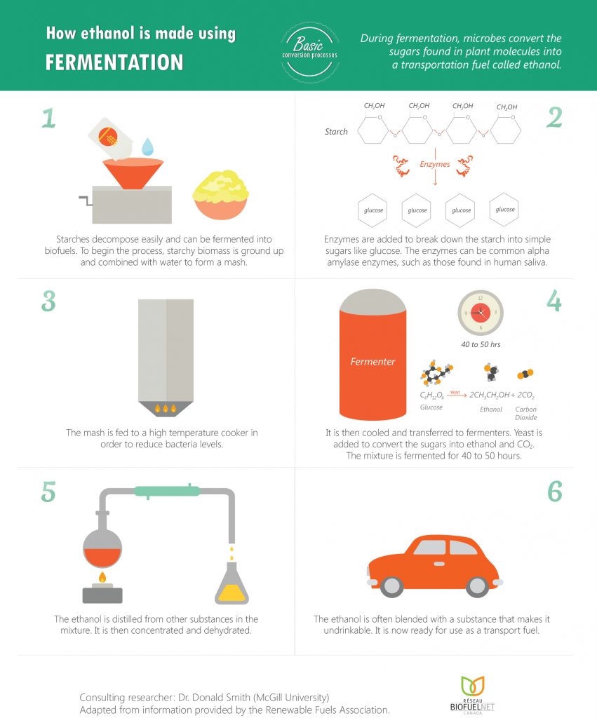 Infographics - BioFuelNet