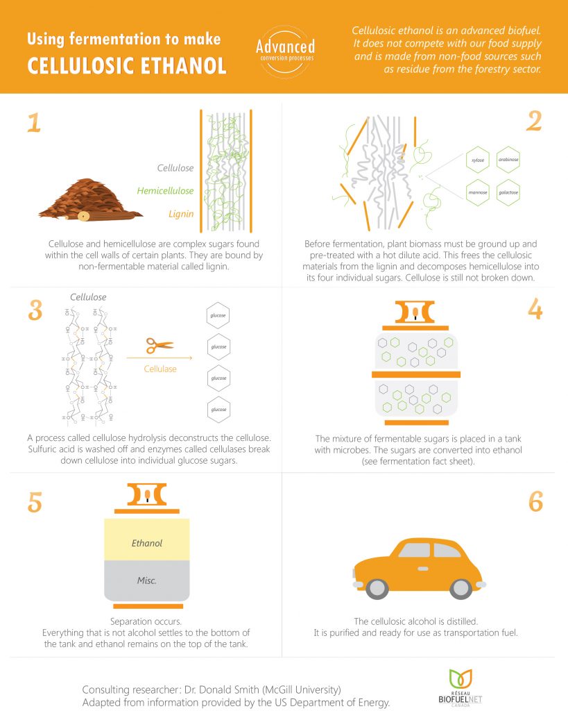 Infographics - BioFuelNet