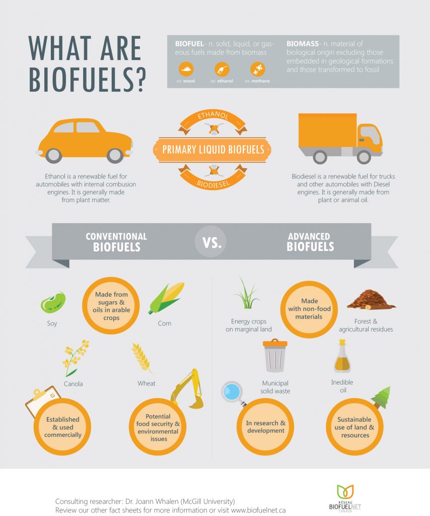 Infographics - BioFuelNet
